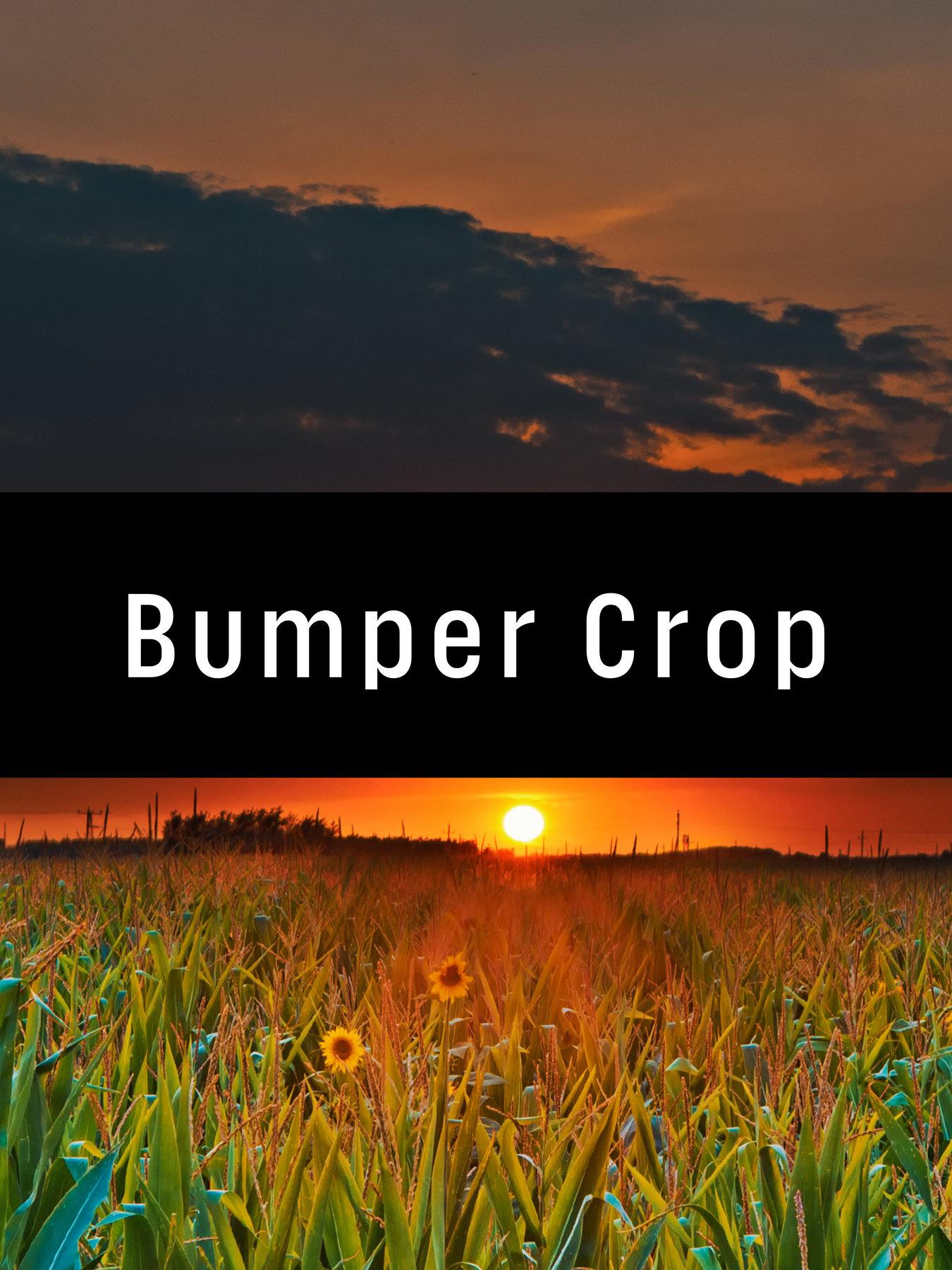 Bumper Crop